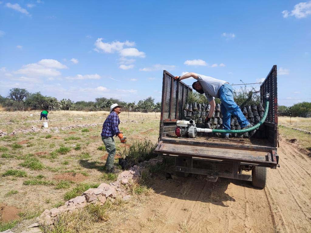 PRAMSEI: Proyectos ambientales en etapas constructivas y operativas (66)